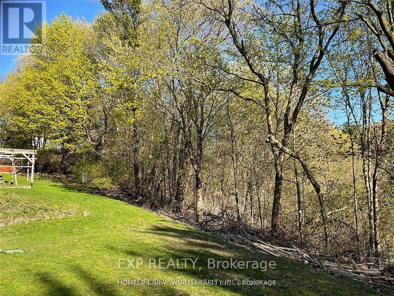 Back Ground Fl - 53 Aspenwood Drive, Toronto, Ontario  M2H 2E8 - Photo 8 - C12062594