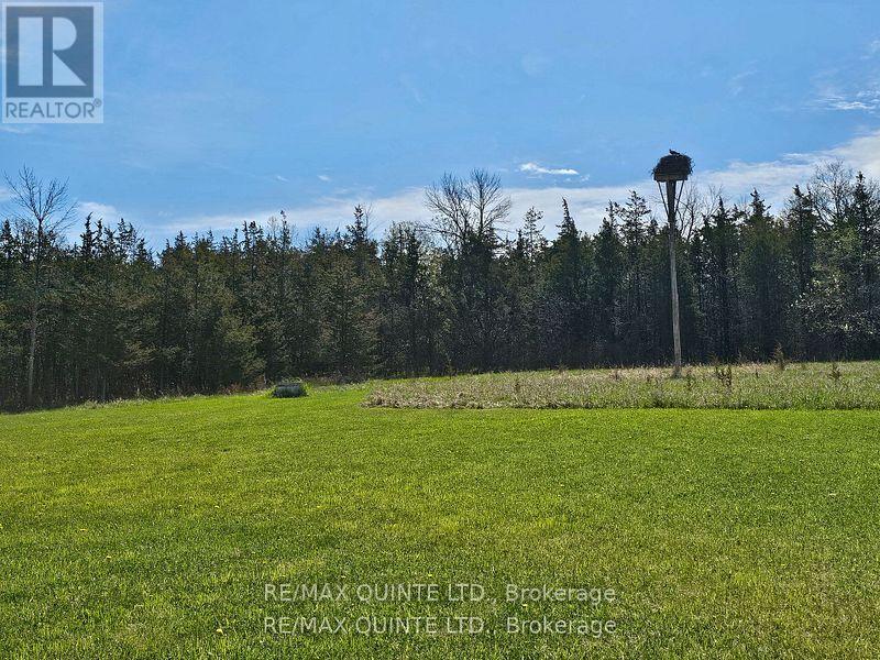 1648 North Big Island Road, Prince Edward County (Sophiasburgh), Ontario  K0K 1W0 - Photo 27 - X12062750