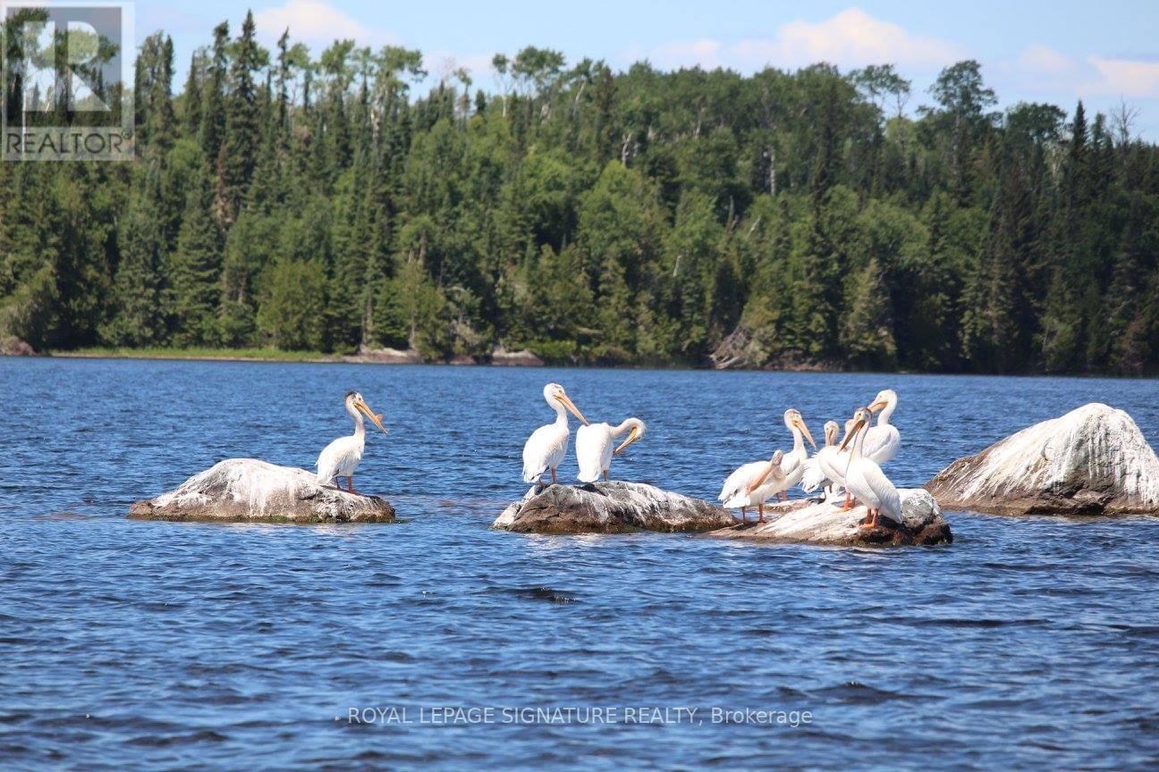 8 Kuengs Road, Greenstone, Ontario  P0T 1M0 - Photo 6 - X12062833