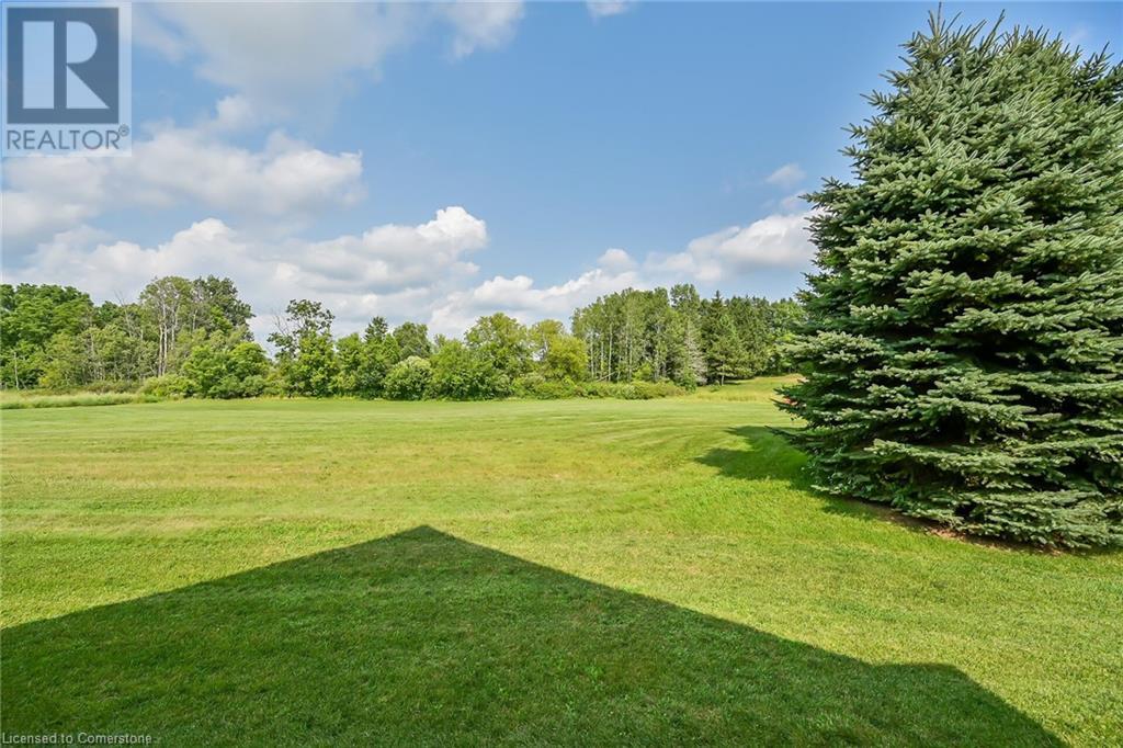 156 St. Michaels Street, Delhi, Ontario  N4B 0A3 - Photo 40 - 40713794