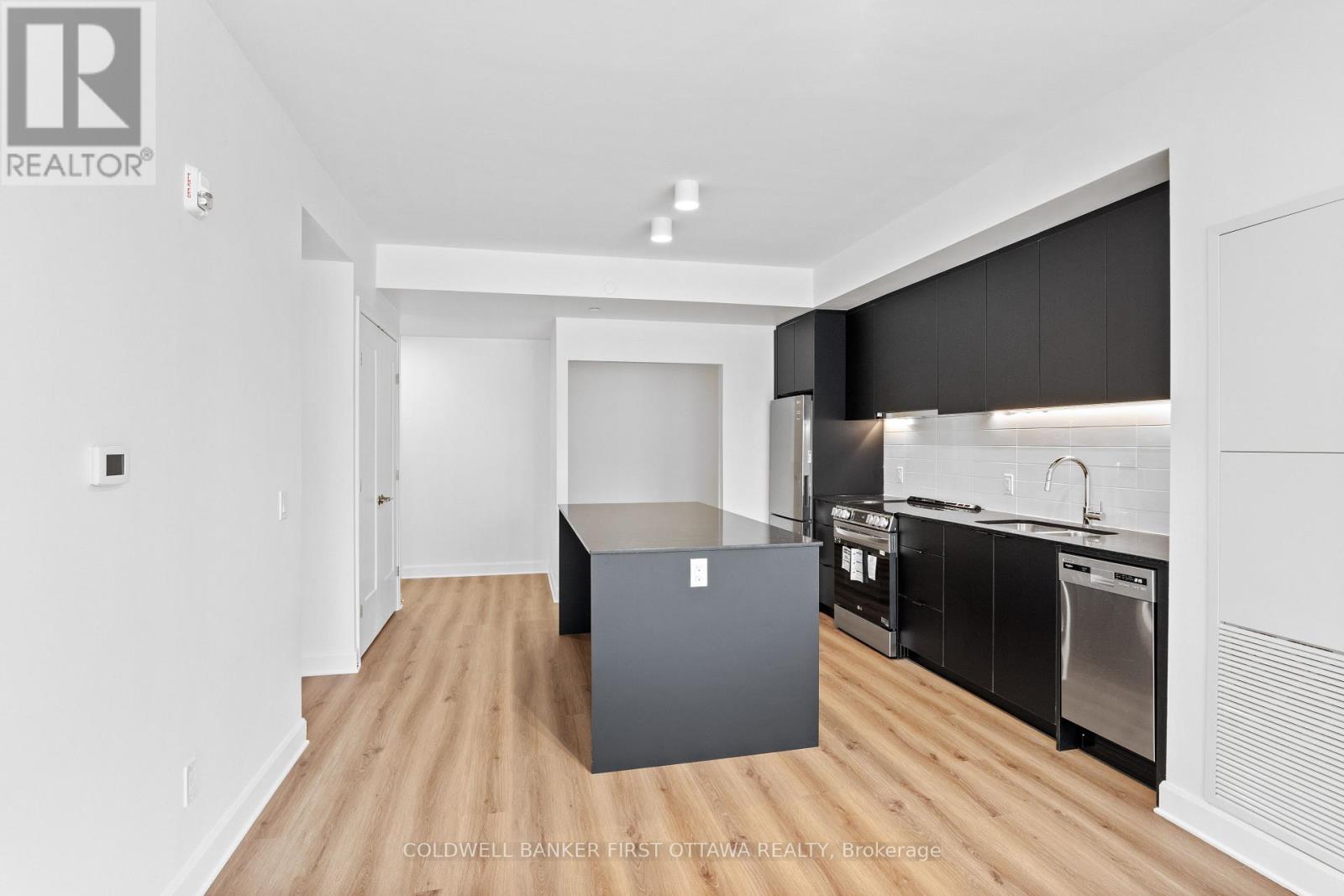 205 - 115 Echo Drive, Ottawa, Ontario  K1S 1M7 - Photo 5 - X12063311