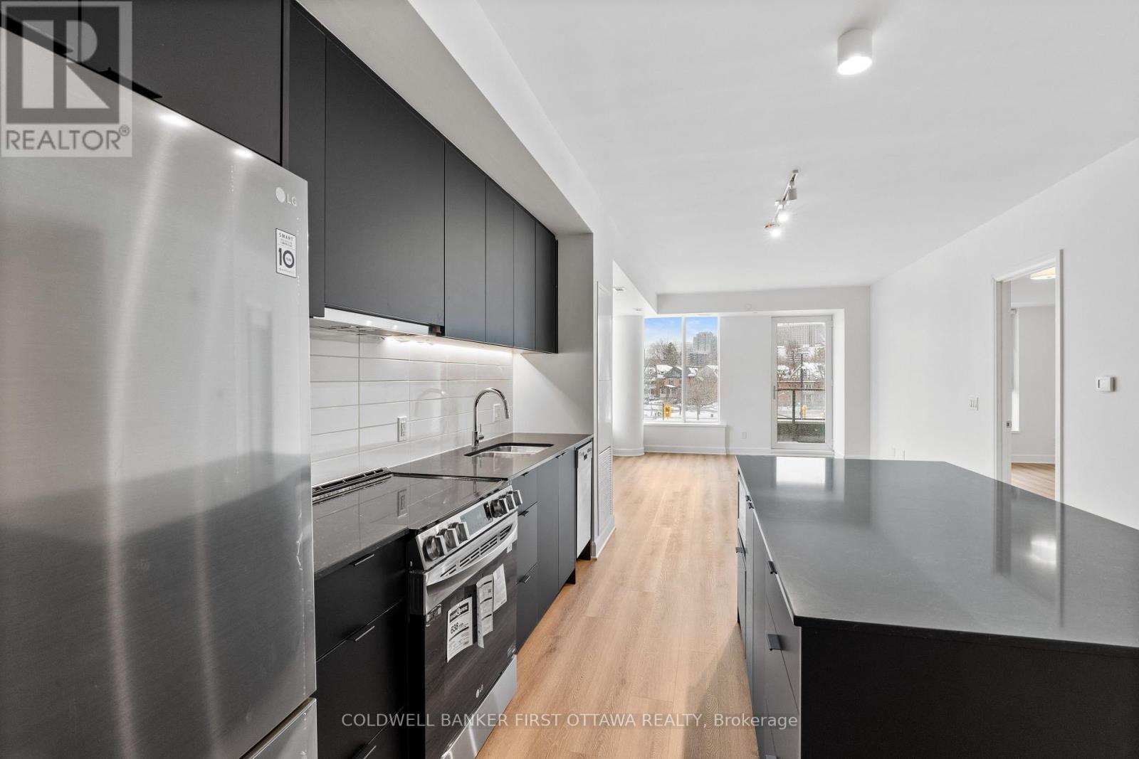 205 - 115 Echo Drive, Ottawa, Ontario  K1S 1M7 - Photo 6 - X12063311