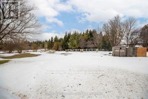 773773 Highway 10 Highway, Grey Highlands, Ontario  N0C 1E0 - Photo 5 - X12063286