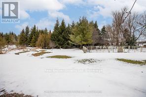 773773 Highway 10 Highway, Grey Highlands, Ontario  N0C 1E0 - Photo 6 - X12063286
