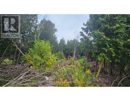 PT LT 23 CON 2 WBR PT 1 HIGHWAY 6 HIGHWAY, Northern Bruce Peninsula, Ontario