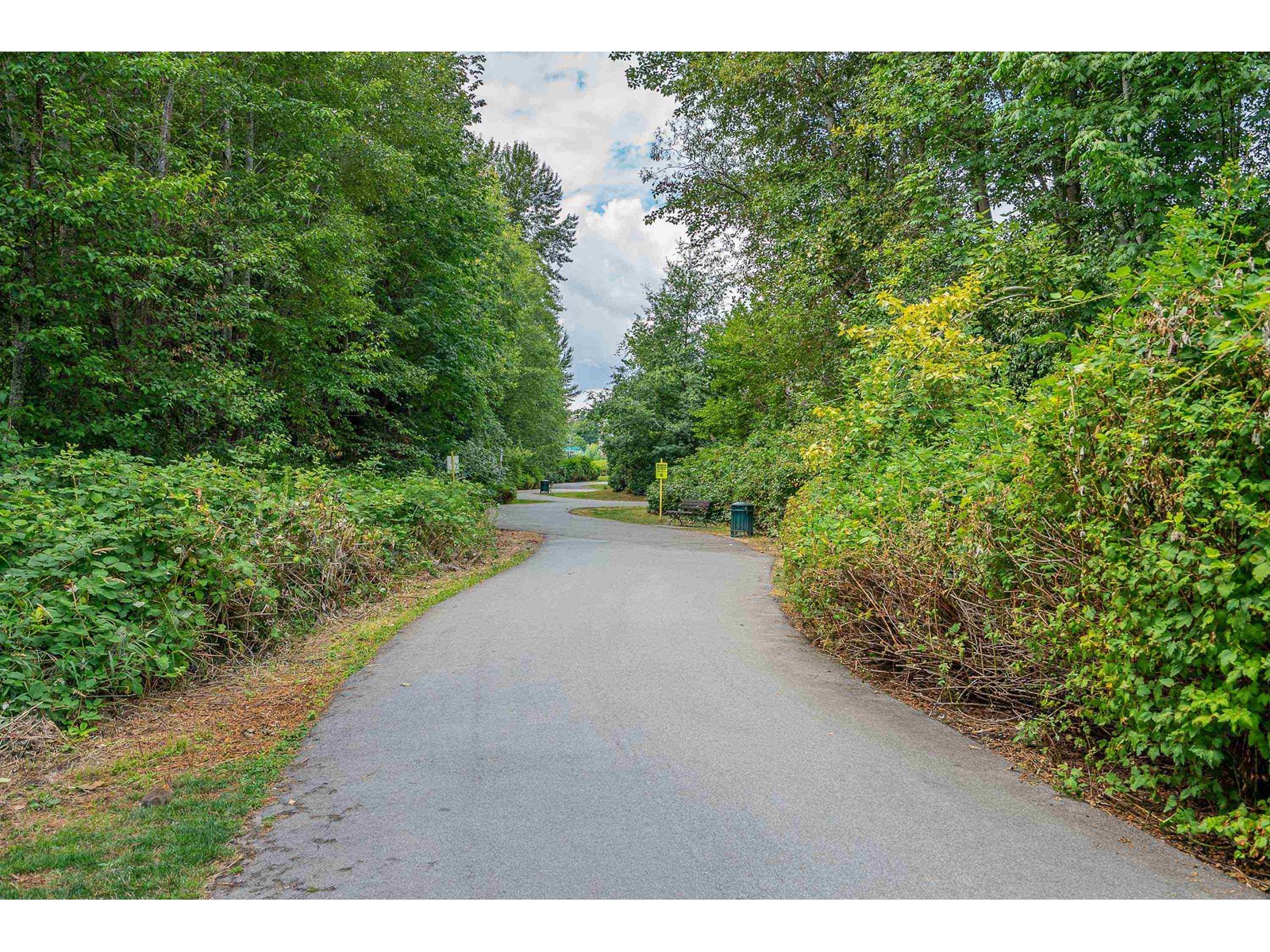 D407 20211 66 Avenue, Langley, British Columbia  V2Y 0L4 - Photo 20 - R2984190