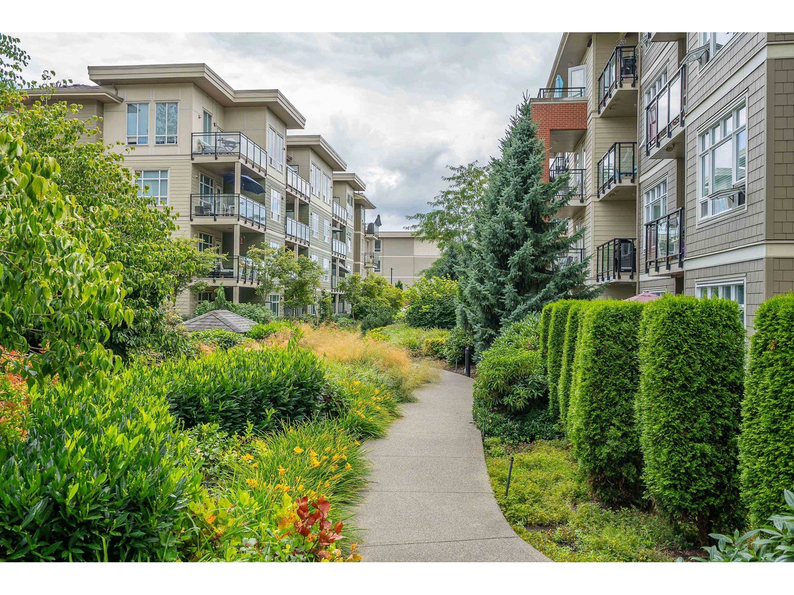 D407 20211 66 Avenue, Langley, British Columbia  V2Y 0L4 - Photo 19 - R2984190