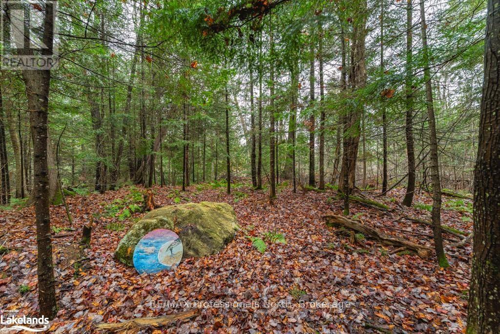 15/16 - 93 Rye Road, Parry Sound Remote Area, Ontario  P0A 1X0 - Photo 36 - X12063592