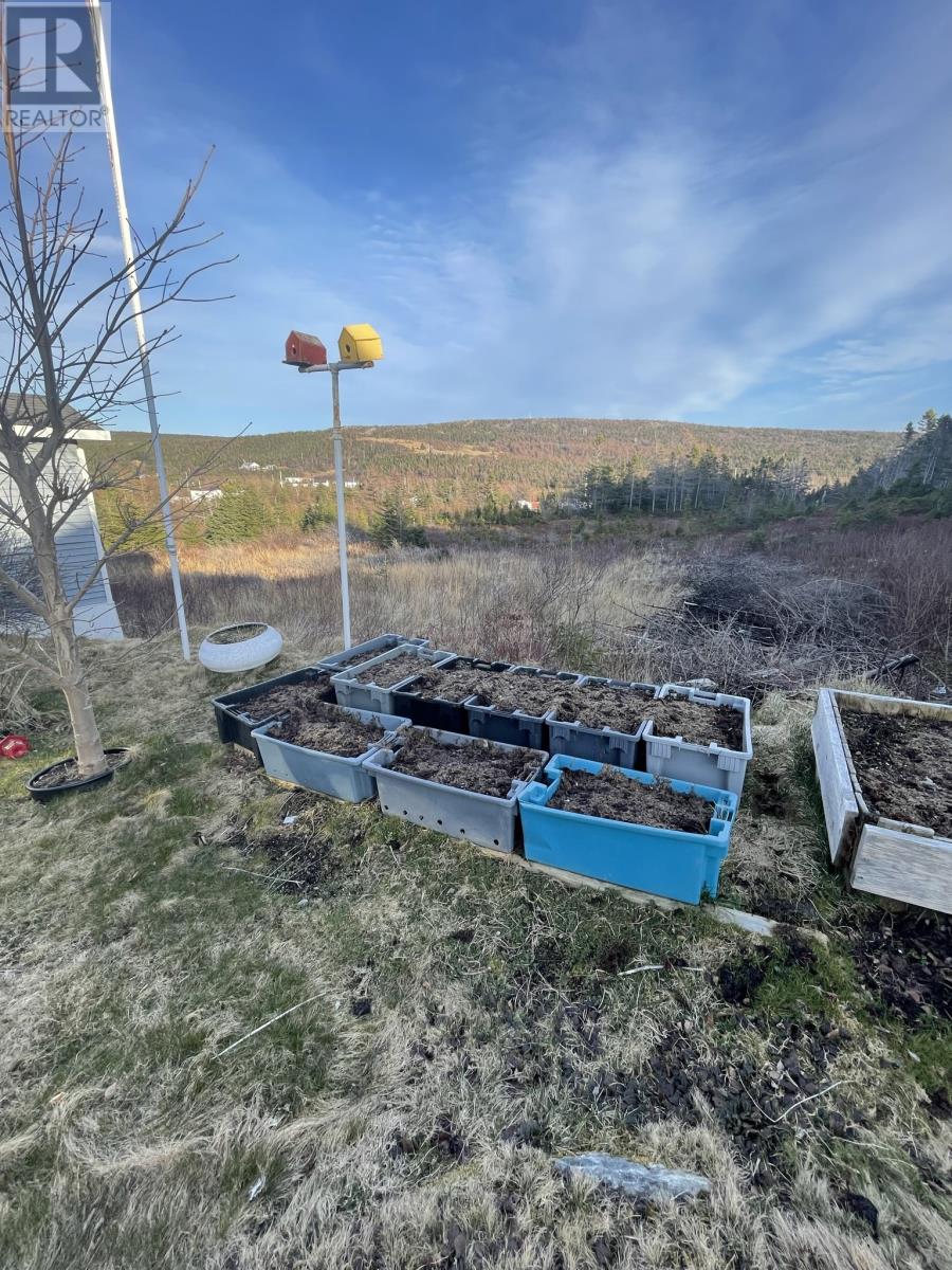 32 Main Road, New Chelsea, Newfoundland & Labrador  a0b 2n0 - Photo 34 - 1283323