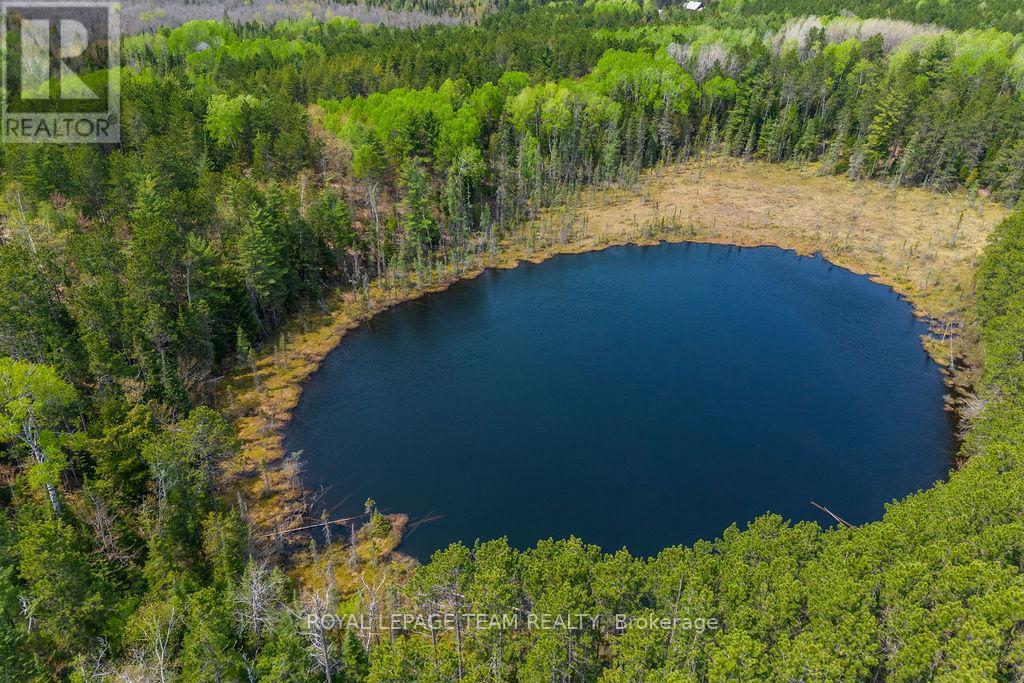 11462 Opeongo Road, Madawaska Valley, Ontario  K0J 1B0 - Photo 43 - X12064106