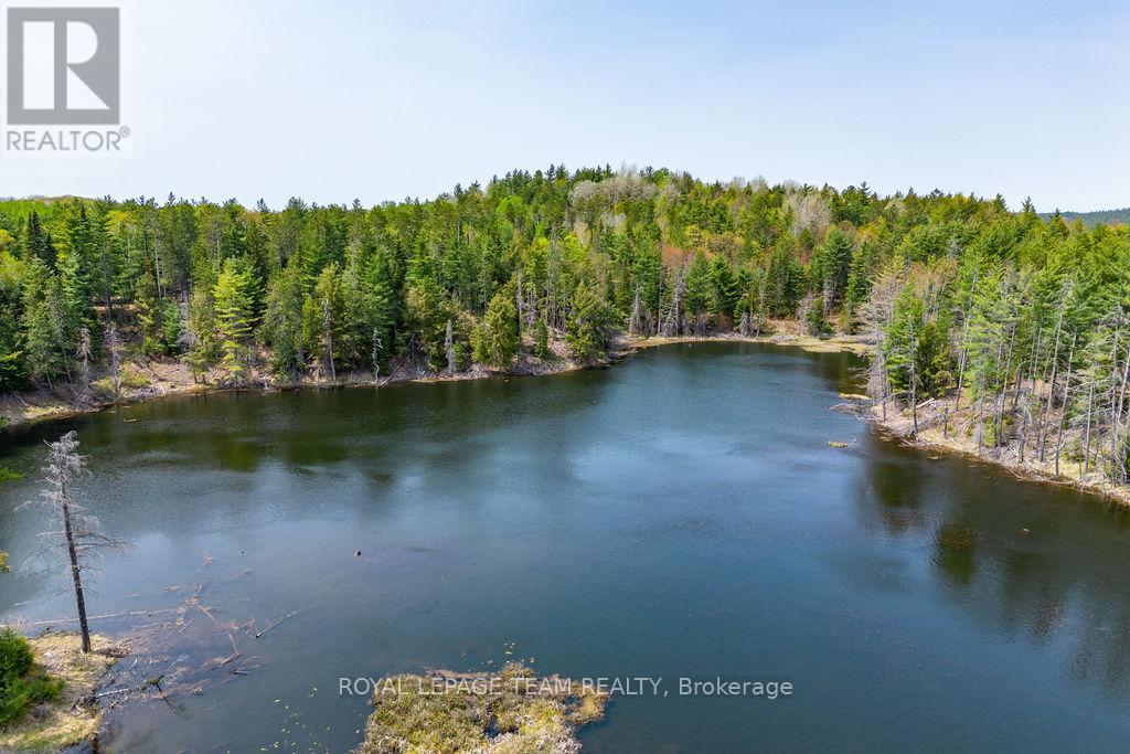 11462 Opeongo Road, Madawaska Valley, Ontario  K0J 1B0 - Photo 46 - X12064106