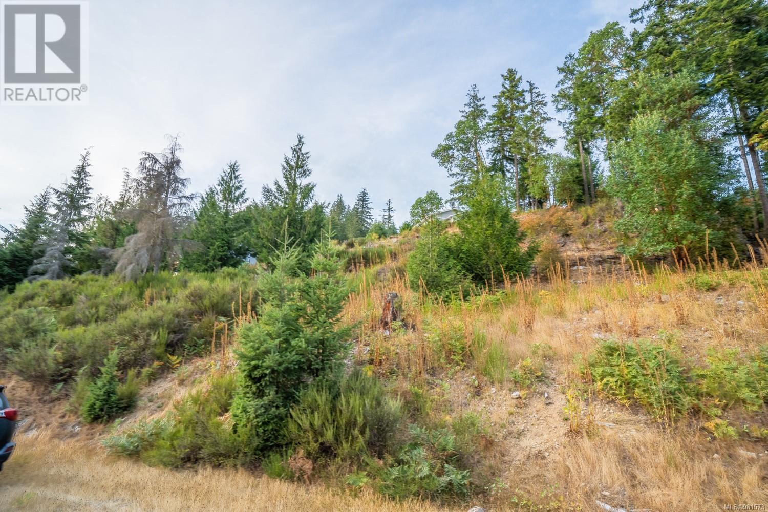 Lot 13 Teal Crt, Lake Cowichan, British Columbia  V0R 2G0 - Photo 1 - 981573