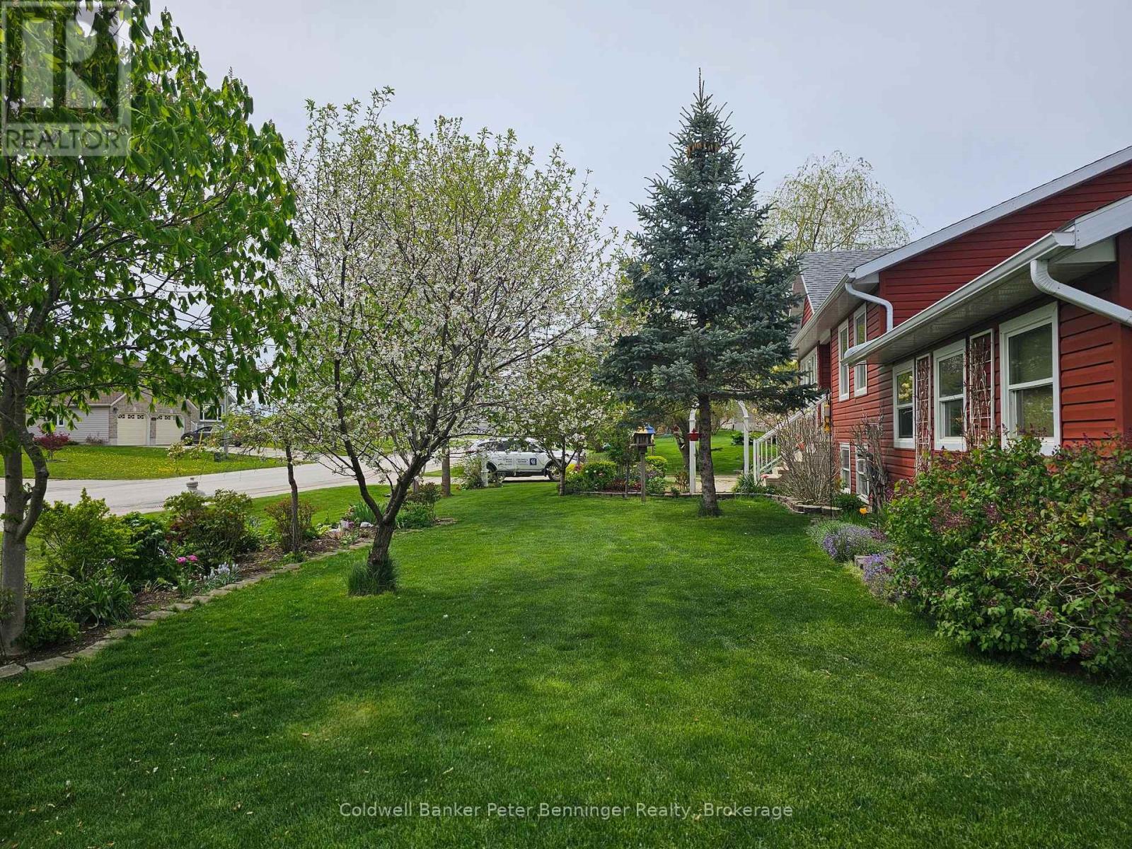 292 Balaklava Street, Arran-Elderslie, Ontario  N0G 2N0 - Photo 4 - X11918613