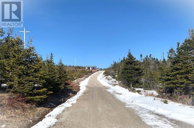1 Gilbert Lane, Sheaves Cove, Newfoundland & Labrador  A0N 1T0 - Photo 4 - 1283022