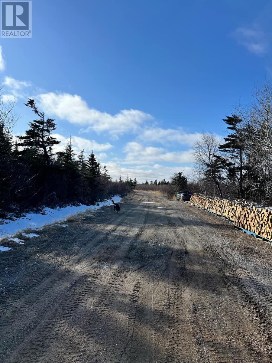 100 Memorial Drive, Lumsden, Newfoundland & Labrador  A0G 3E0 - Photo 14 - 1283246