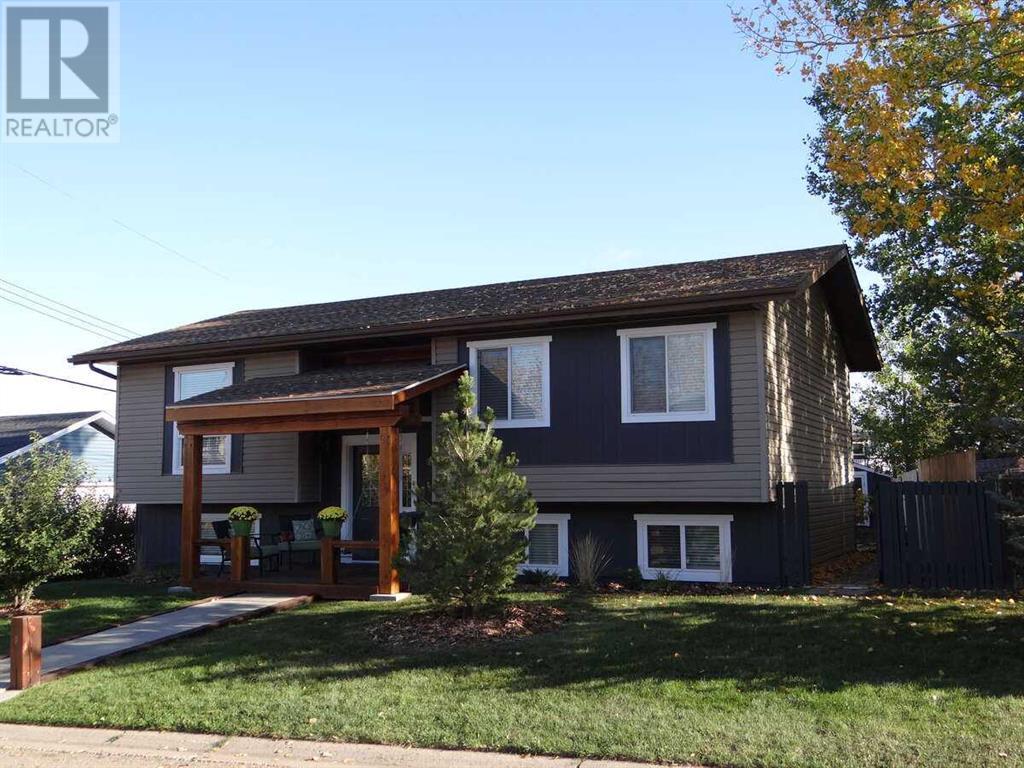 250 8 Street Se, Three Hills, Alberta  T0M 2A0 - Photo 1 - A2178437
