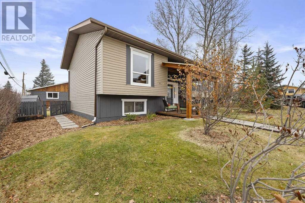 250 8 Street Se, Three Hills, Alberta  T0M 2A0 - Photo 4 - A2178437