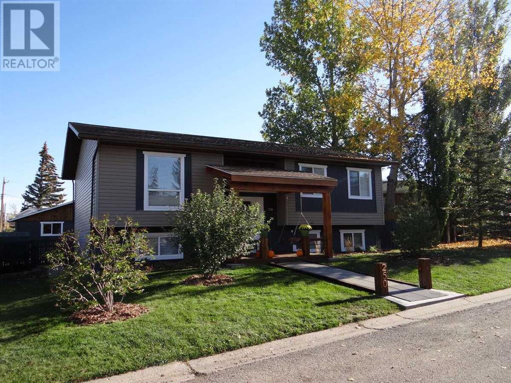250 8 Street Se, Three Hills, Alberta  T0M 2A0 - Photo 2 - A2178437