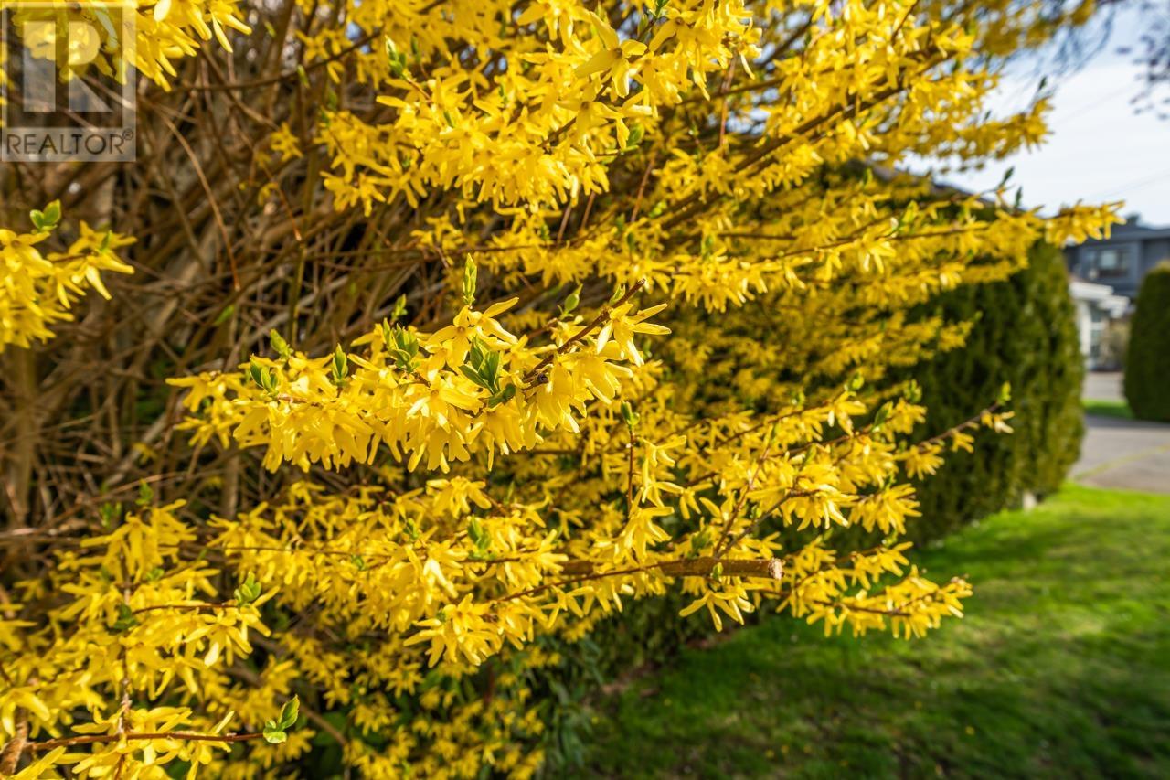 8680 Kilgour Place, Richmond, British Columbia  V7C 3R1 - Photo 34 - R2985254