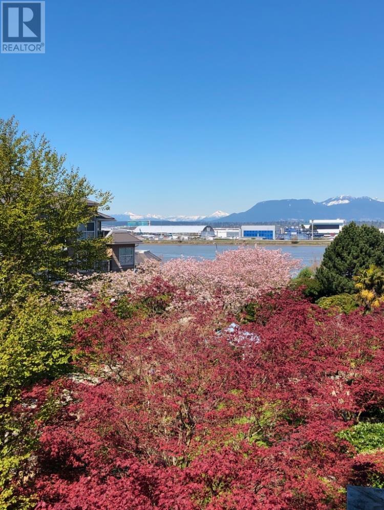 402 5860 Dover Crescent, Richmond, British Columbia  V7C 5S6 - Photo 8 - R2981409