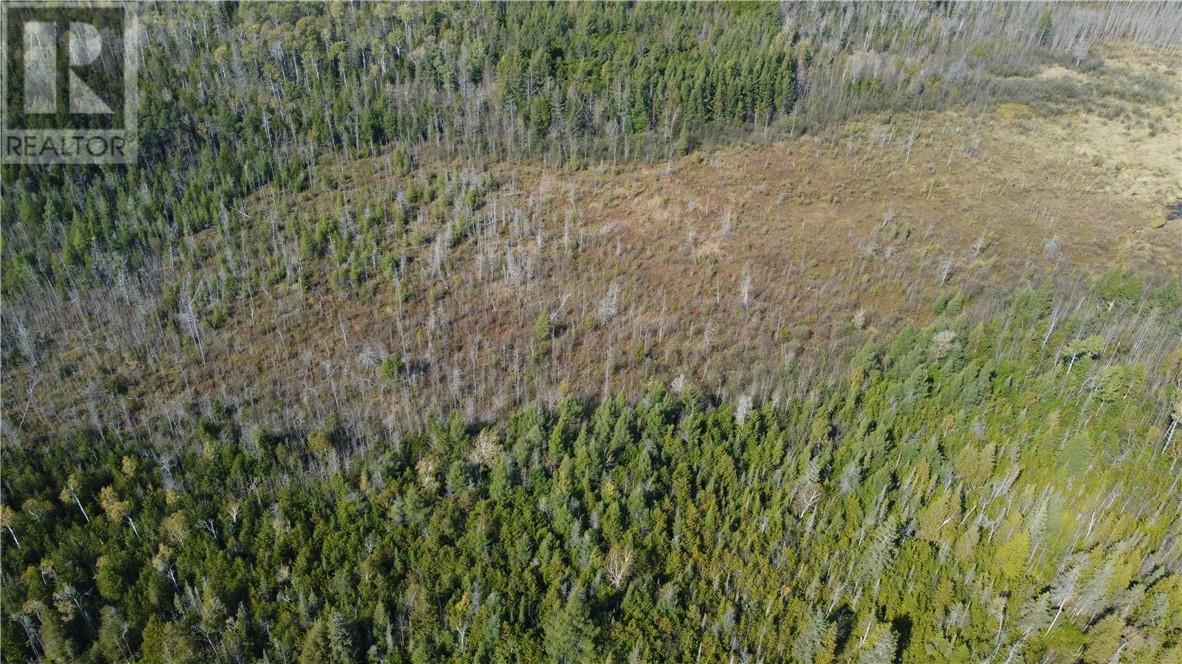 887 Lakeshore, Tehkummah, Ontario  P0P 2C0 - Photo 12 - 2121531