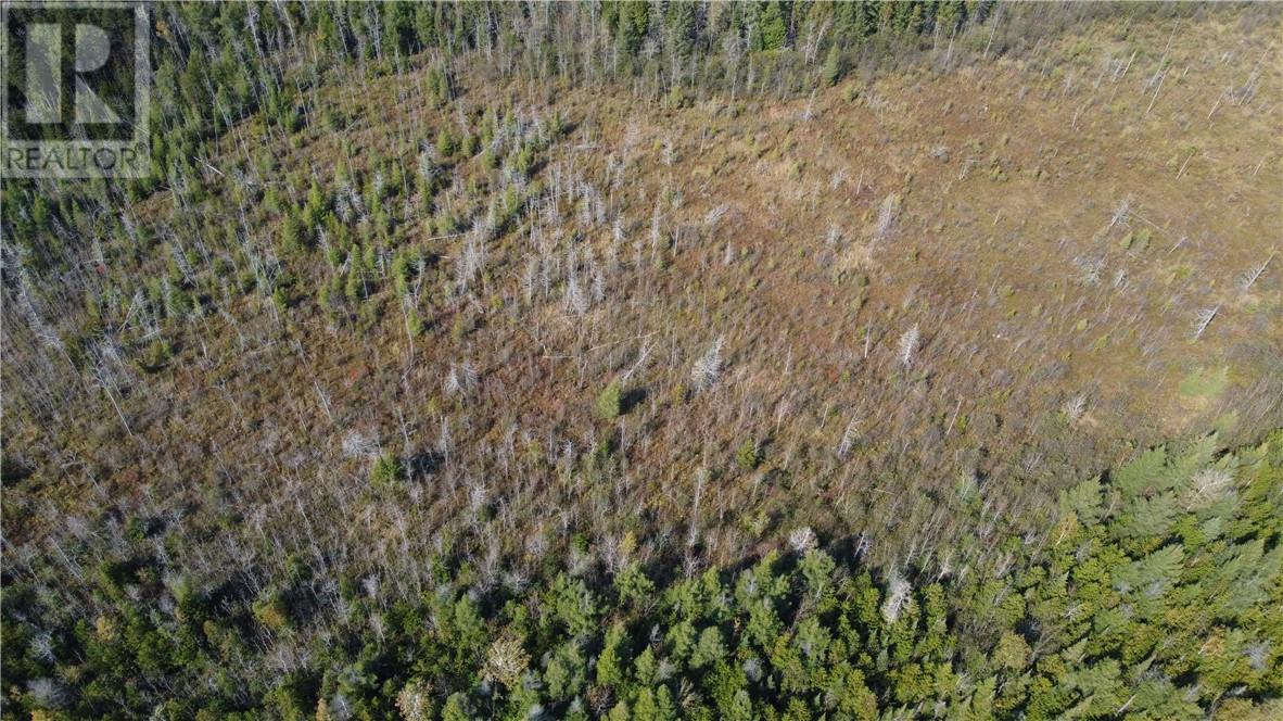 887 Lakeshore, Tehkummah, Ontario  P0P 2C0 - Photo 13 - 2121531