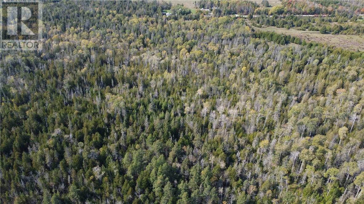 887 Lakeshore, Tehkummah, Ontario  P0P 2C0 - Photo 15 - 2121531