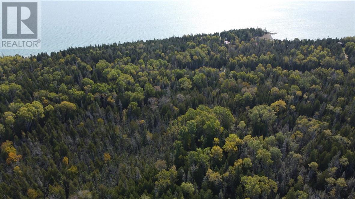 887 Lakeshore, Tehkummah, Ontario  P0P 2C0 - Photo 18 - 2121531