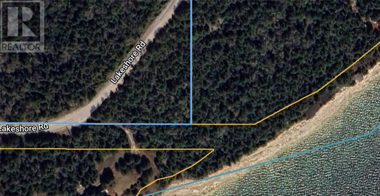 887 Lakeshore, Tehkummah, Ontario  P0P 2C0 - Photo 20 - 2121531