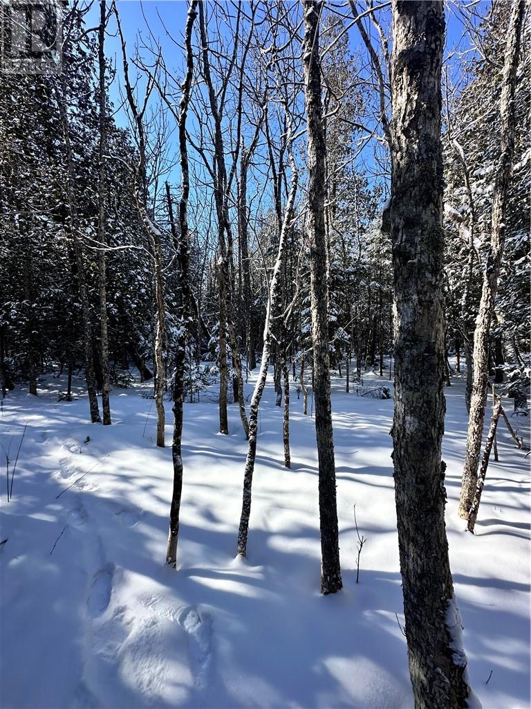 887 Lakeshore, Tehkummah, Ontario  P0P 2C0 - Photo 21 - 2121531