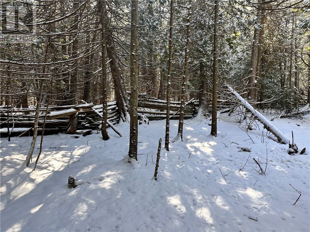 887 Lakeshore, Tehkummah, Ontario  P0P 2C0 - Photo 22 - 2121531