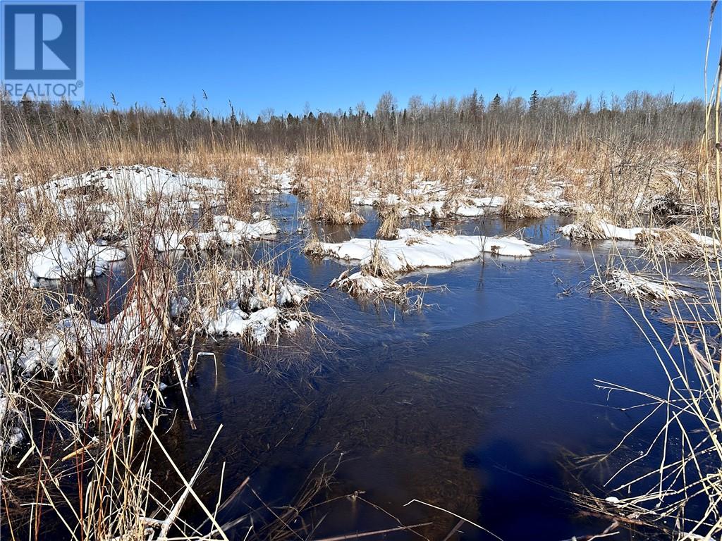 887 Lakeshore, Tehkummah, Ontario  P0P 2C0 - Photo 24 - 2121531