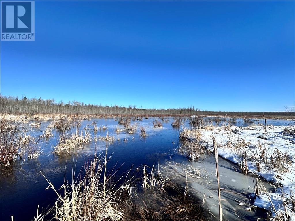 887 Lakeshore, Tehkummah, Ontario  P0P 2C0 - Photo 25 - 2121531