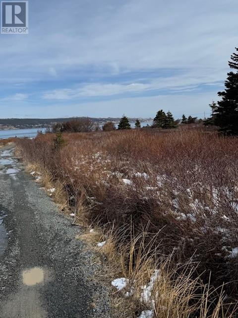 26 Bears Cove Road, Bay Roberts, Newfoundland & Labrador  A0A 1G0 - Photo 4 - 1283211