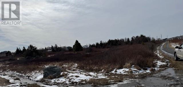 26 Bears Cove Road, Bay Roberts, Newfoundland & Labrador  A0A 1G0 - Photo 5 - 1283211