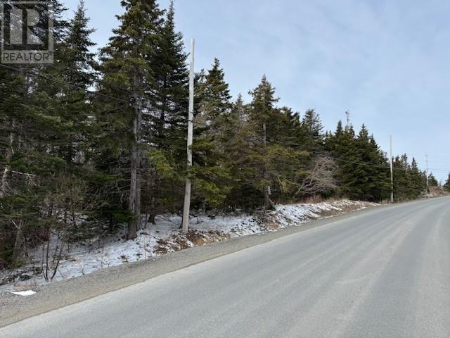 Property at 0 Saddle Hill image 3