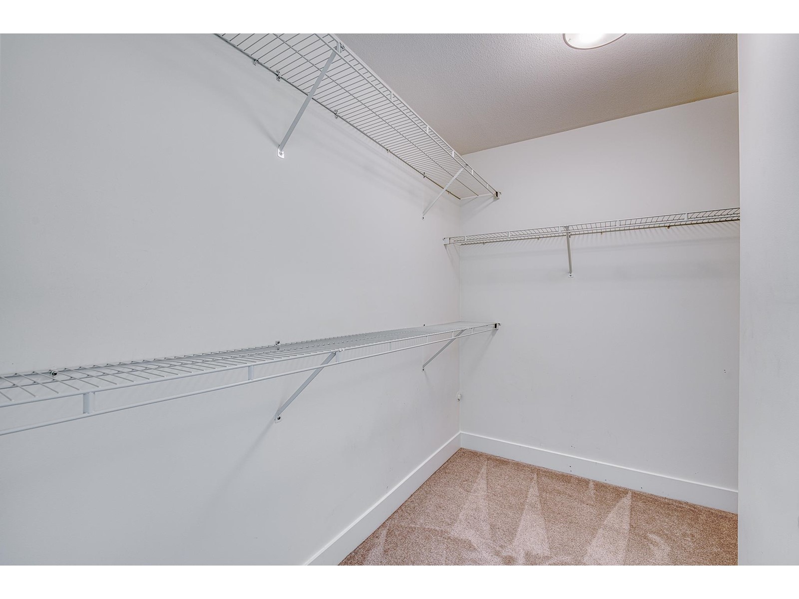 7 20246 81 Avenue, Langley, British Columbia  V2Y 3T3 - Photo 26 - R2984913