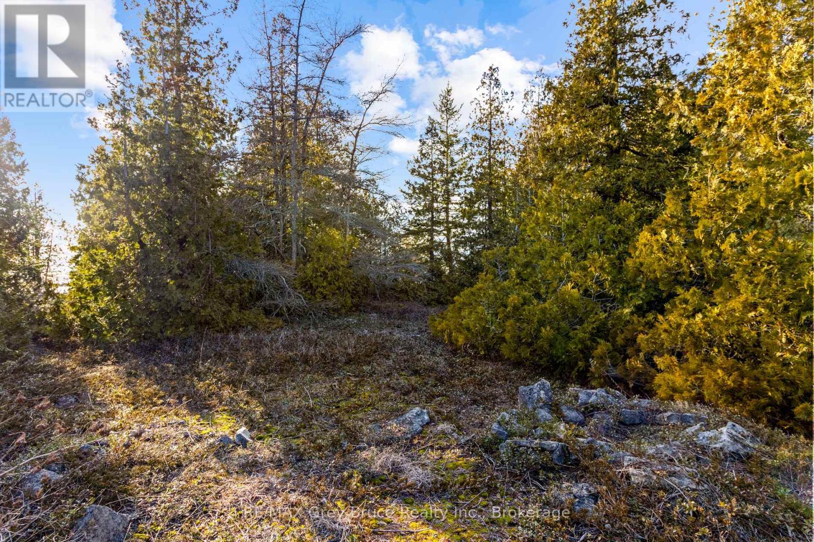 Part 10 Fox Trail, Northern Bruce Peninsula, Ontario  N0H 1Z0 - Photo 13 - X12065378