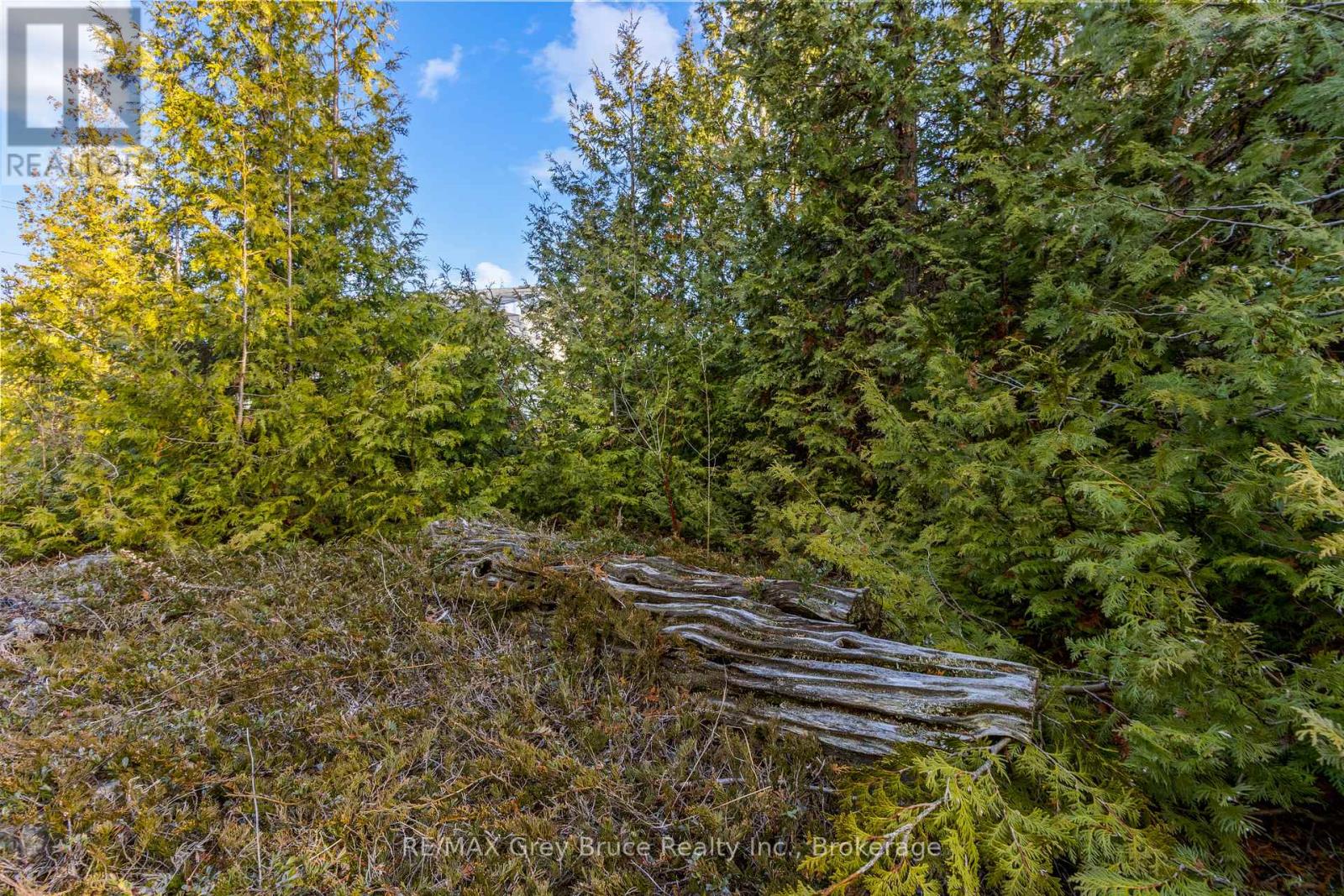 Part 10 Fox Trail, Northern Bruce Peninsula, Ontario  N0H 1Z0 - Photo 14 - X12065378