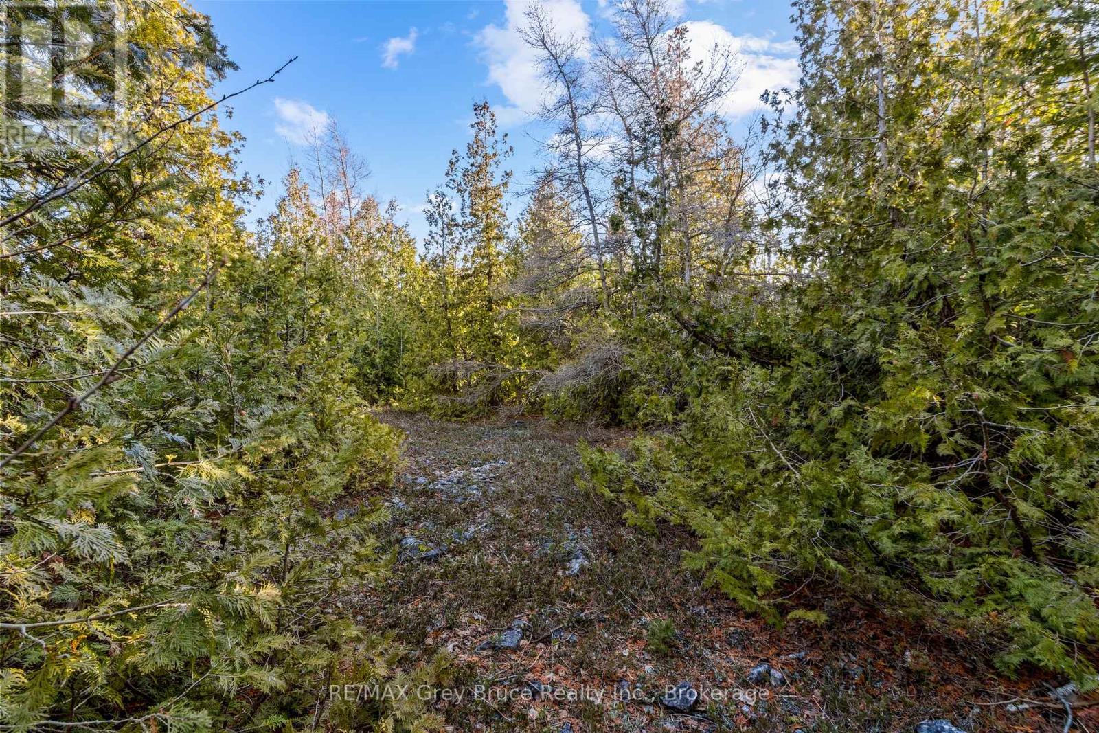 Part 10 Fox Trail, Northern Bruce Peninsula, Ontario  N0H 1Z0 - Photo 25 - X12065378