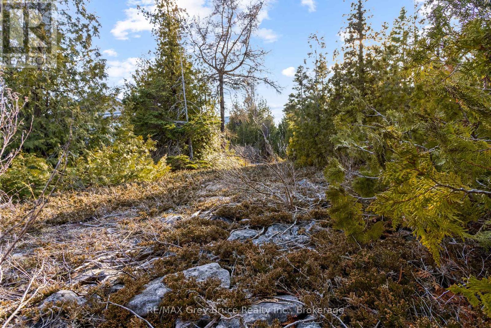 Part 10 Fox Trail, Northern Bruce Peninsula, Ontario  N0H 1Z0 - Photo 4 - X12065378