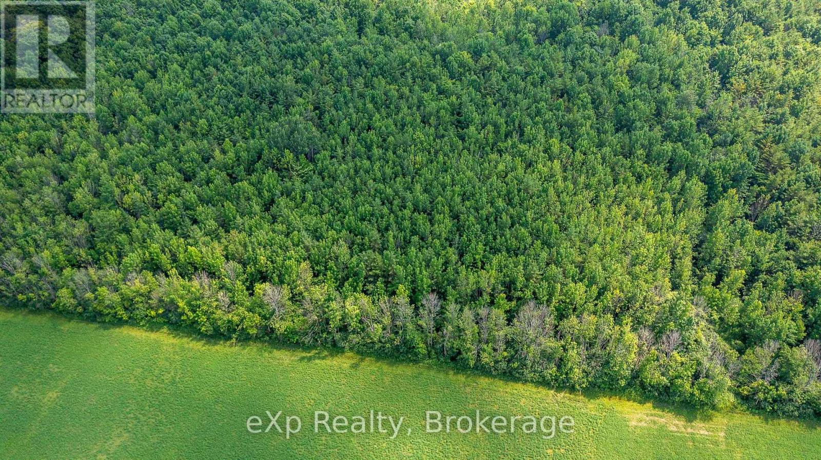 Con 11 Pt Lot 7, Sideroad 8, Meaford, Ontario  N4L 1W5 - Photo 6 - X12065398