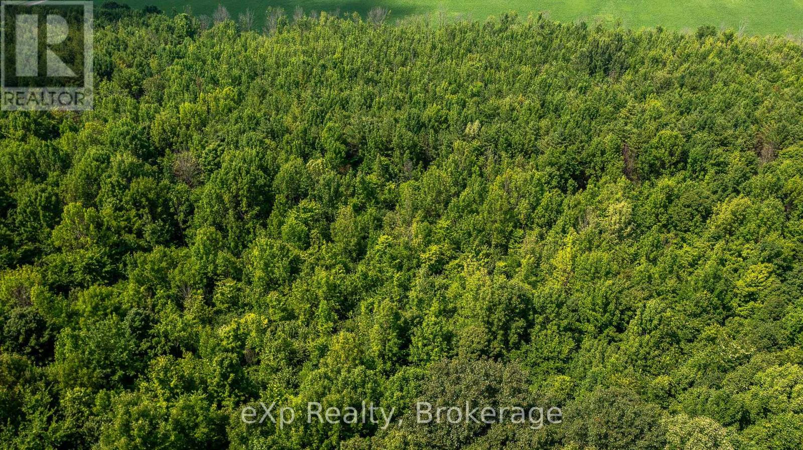 Con 11 Pt Lot 7, Sideroad 8, Meaford, Ontario  N4L 1W5 - Photo 7 - X12065398