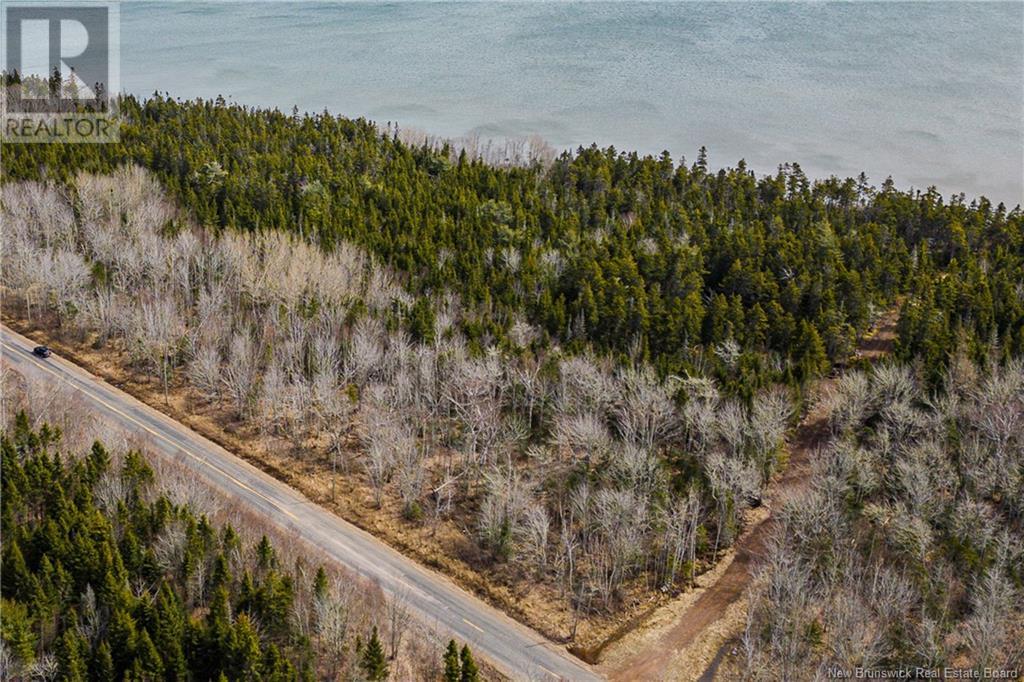 Lot 24-1 Route 960, Upper Cape, New Brunswick  E4M 2S4 - Photo 2 - NB115665