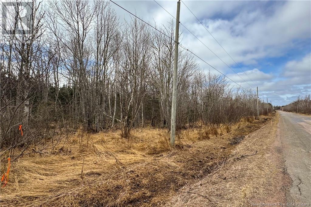 Lot 24-1 Route 960, Upper Cape, New Brunswick  E4M 2S4 - Photo 9 - NB115665