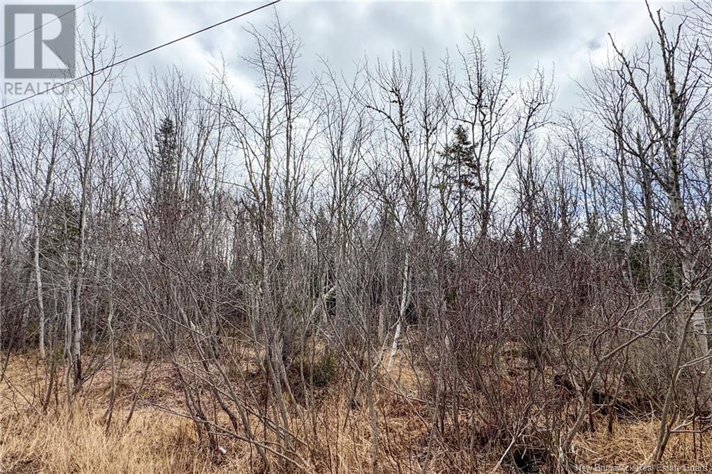 Lot 24-2 Route 960, Upper Cape, New Brunswick  E4M 2S4 - Photo 7 - NB115666