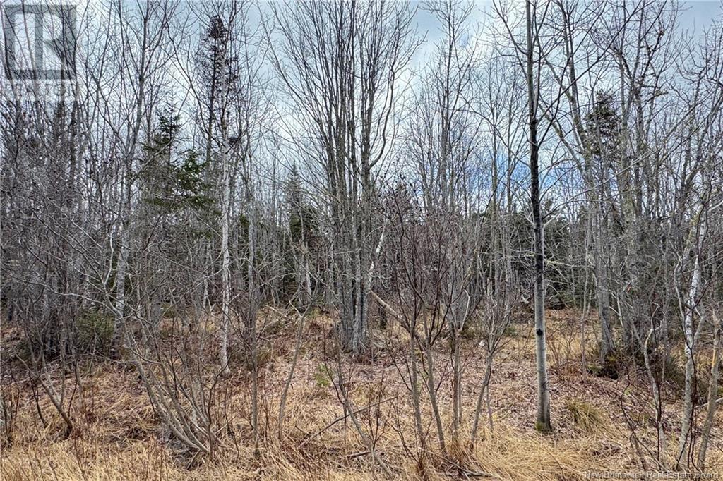 Lot 24-2 Route 960, Upper Cape, New Brunswick  E4M 2S4 - Photo 8 - NB115666