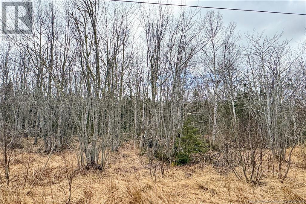 Lot 24-1 Route 960, Upper Cape, New Brunswick  E4M 2S4 - Photo 10 - NB115665
