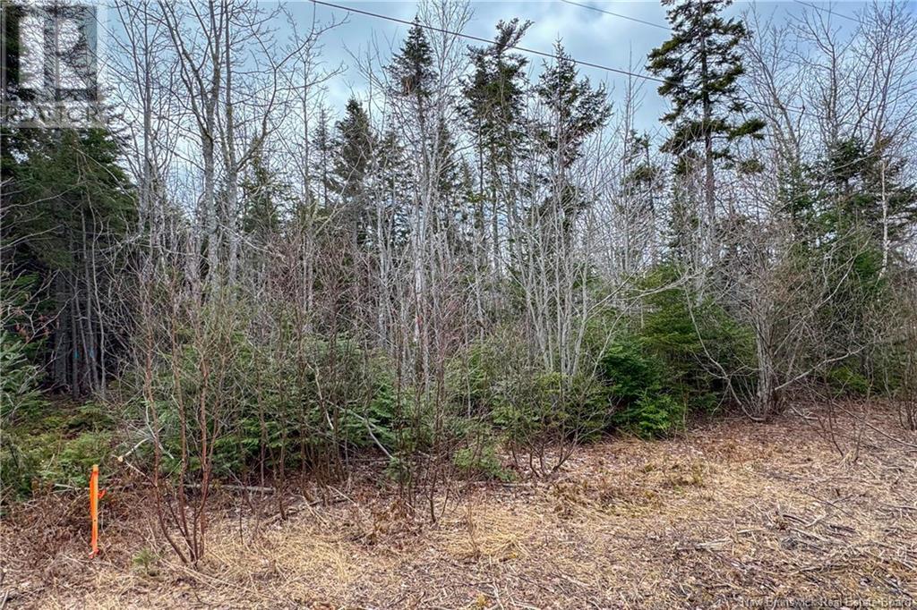 Lot 24-4 Route 960, Upper Cape, New Brunswick  E4M 2S4 - Photo 10 - NB115668
