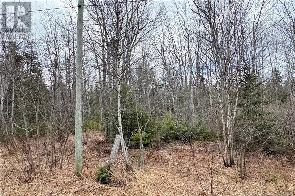 Lot 24-4 Route 960, Upper Cape, New Brunswick  E4M 2S4 - Photo 8 - NB115668